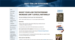 Desktop Screenshot of boost-your-low-testosterone.com